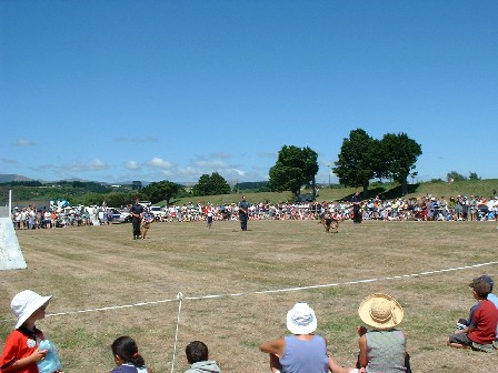 Police Dogs Perform, Festival of Manawatu, Hokowhitu, Palmerston North, Manawatu, New Zealand - 10 February 2001