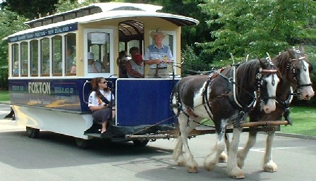 Blue & Connor lead the Foxton Tram, Esplanade Open Day, Palmerston North, Manawatu, New Zealand - 25 February 2001