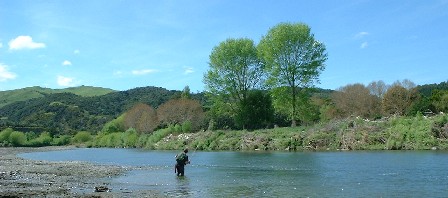 Peta Kinaston catches his first Manawatu River Trout of the season, Ashhurst, Manawatu, New Zealand - 6 October 2001